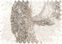 HIDRA_1