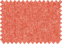 INVICTUS_373