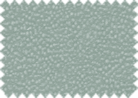 LOTUS_155