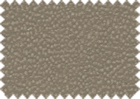 LOTUS_164