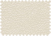 LOTUS_202