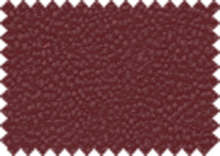 LOTUS_204