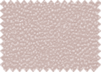 LOTUS_421