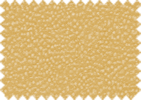 LOTUS_427