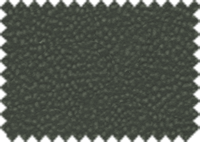 LOTUS_428