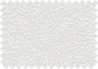 LOTUS_60