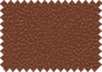 LOTUS_82