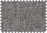 LYON_110