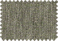 LYON_407