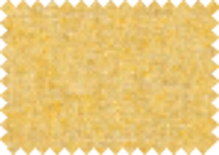MINERVA_16
