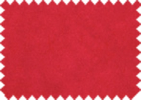 MOSS_81