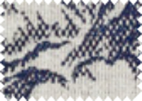 NANA_60