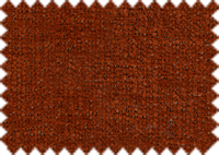 NOVUS_30