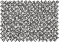 NURIEL_10