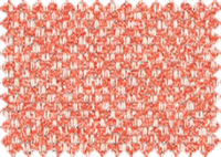 NURIEL_305