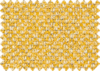 NURIEL_314