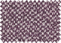 NURIEL_341