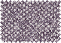 NURIEL_348