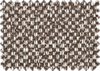 NURIEL_732