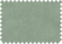 OASIS_155
