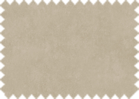 OASIS_203