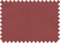 OASIS_204