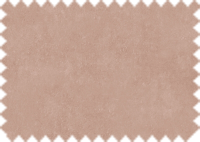 OASIS_421
