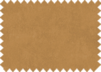 OASIS_424