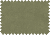 OASIS_49