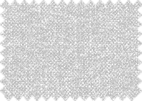 POLARIS_300