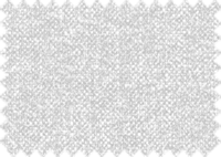 POLARIS_336