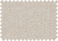 RAIN_51