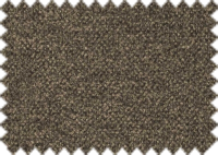 RAIN_732