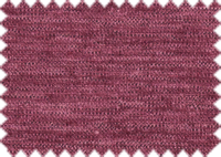 SION_342