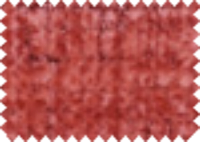 SOLARA_16