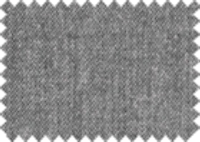 SPIRIT_313