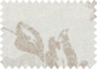 VERA_1