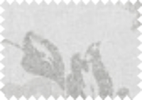 VERA_2
