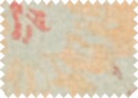 VERA_4