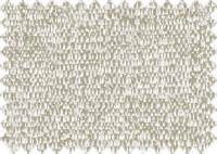 WILLOW_109