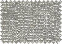 WILLOW_1271