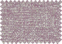 WILLOW_1342