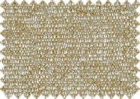 WILLOW_1357