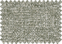 WILLOW_1407
