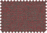 WILLOW_2266