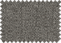 WILLOW_2271