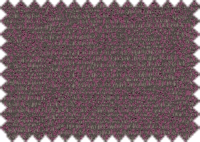 WILLOW_2302