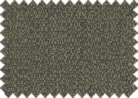 WILLOW_2407