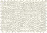 WILLOW_51