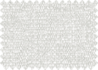 WILLOW_56